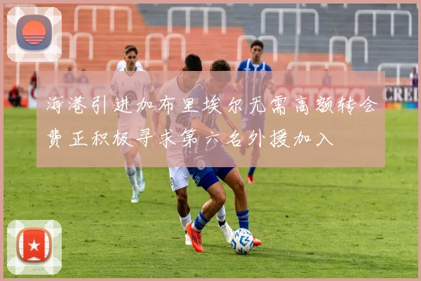 海港引进加布里埃尔无需高额转会费正积极寻求第六名外援加入