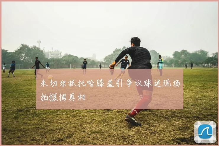米切尔抓托哈膝盖引争议球迷现场拍摄揭真相