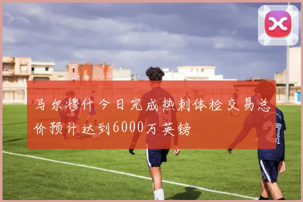 马尔穆什今日完成热刺体检交易总价预计达到6000万英镑